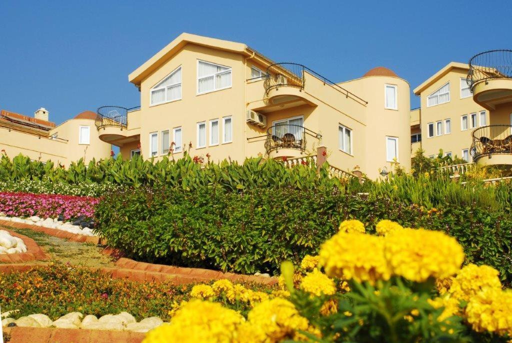 Goldcity Hotel Αλάνια Εξωτερικό φωτογραφία
